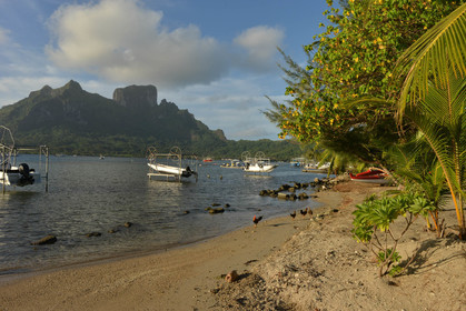 POLYNESIE FRANCAISE