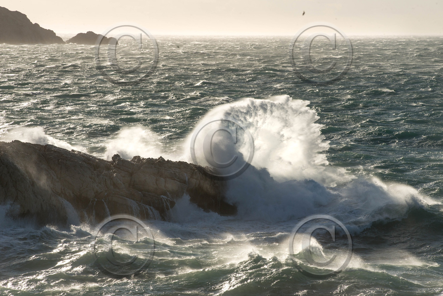 mistral 9 janvier