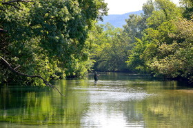 et-au-milieux-coule-la-sorgue.jpg