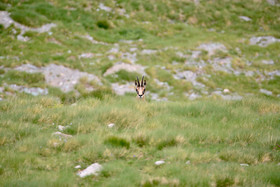 MISE A  JOUR  en cours