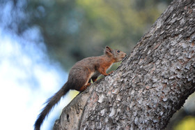 MISE A  JOUR  en cours