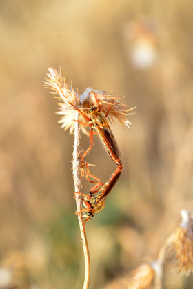 MISE A  JOUR  en cours