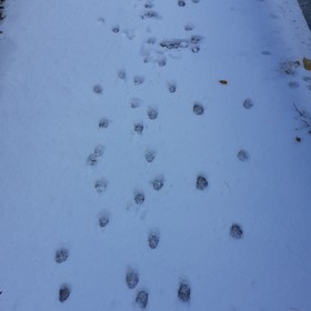 moins 14° debut novembre