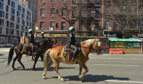un printemps à new york