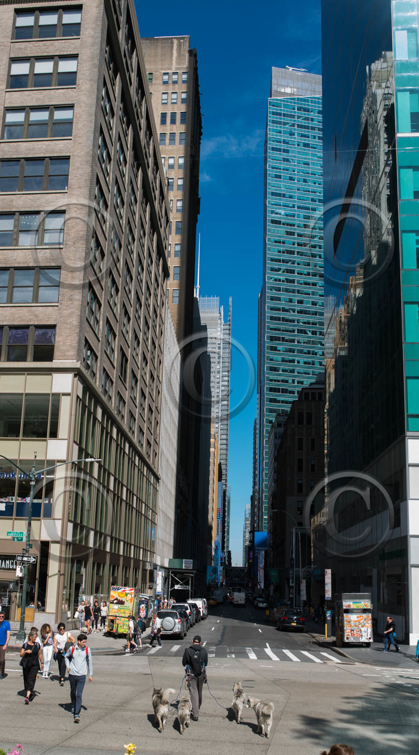 new york 2019