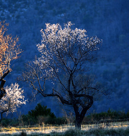 xxxxxalpes-maritime-verdon-5160-copie-2.jpg