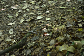 MISE A  JOUR  en cours