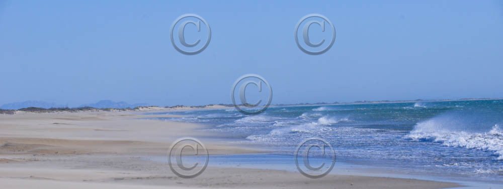 CAMARGUES HIVERS