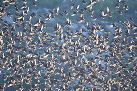 MISE A  JOUR  en cours