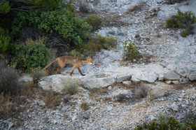 MISE A  JOUR  en cours