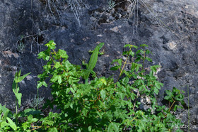 MISE A  JOUR  en cours