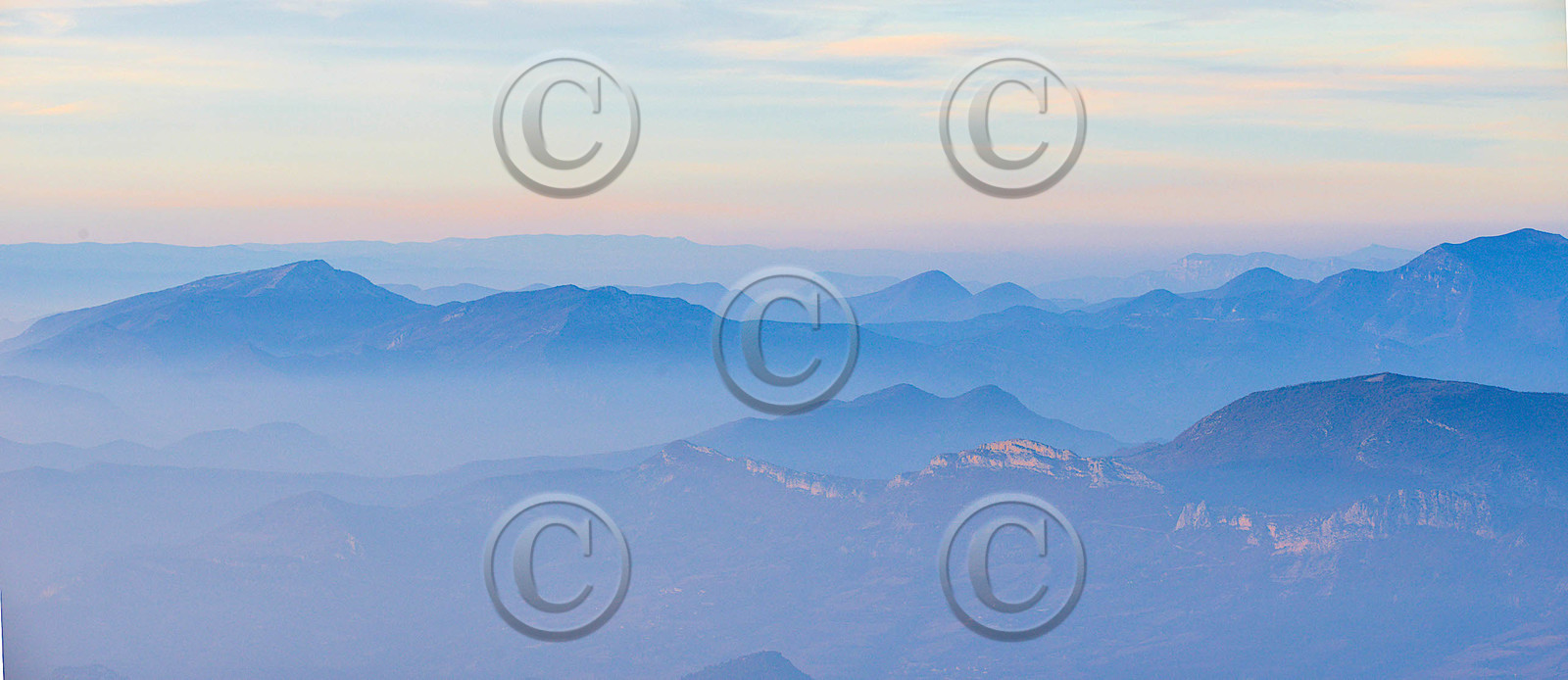 MOUFLONS  VENTOUX