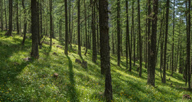 montagne haute alpes ,queyras, mercantour,alpes de haute provence,alpes maritime