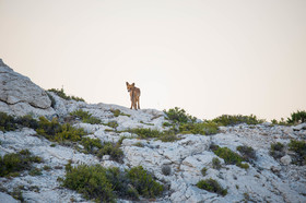 MISE A  JOUR  en cours