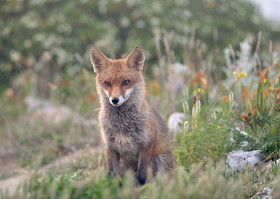 MISE A  JOUR  en cours