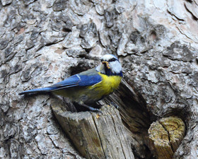 MISE A  JOUR  en cours