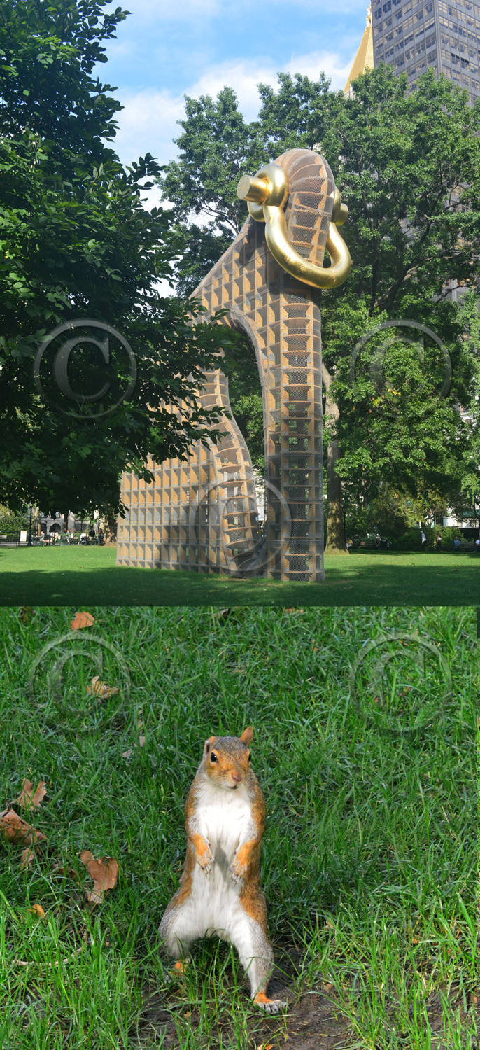 nyc-ecu.jpg