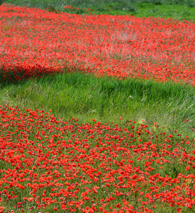 Photo de la sainte baume