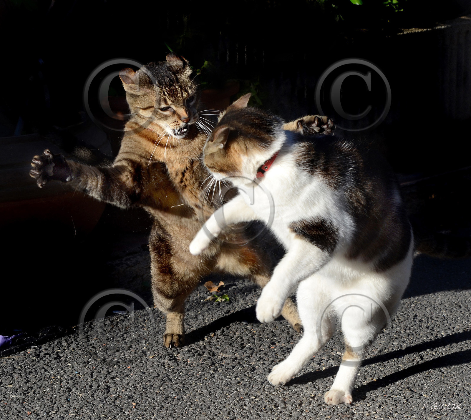 ref-samy-et-isis-jeux-14-copie.jpg