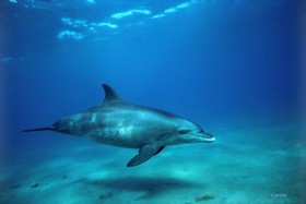 MISE A  JOUR  en cours