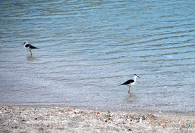 MISE A  JOUR  en cours