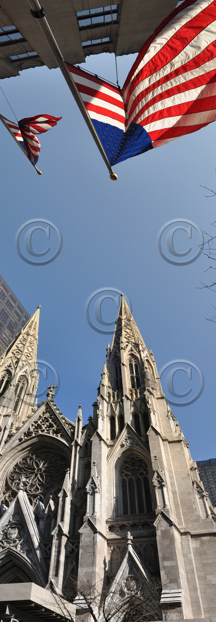 ref-95-291-new-york-st-patrick-1-recoupe-copie.jpg