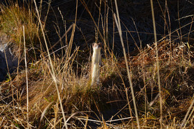 MISE A  JOUR  en cours