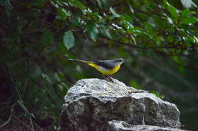 MISE A  JOUR  en cours