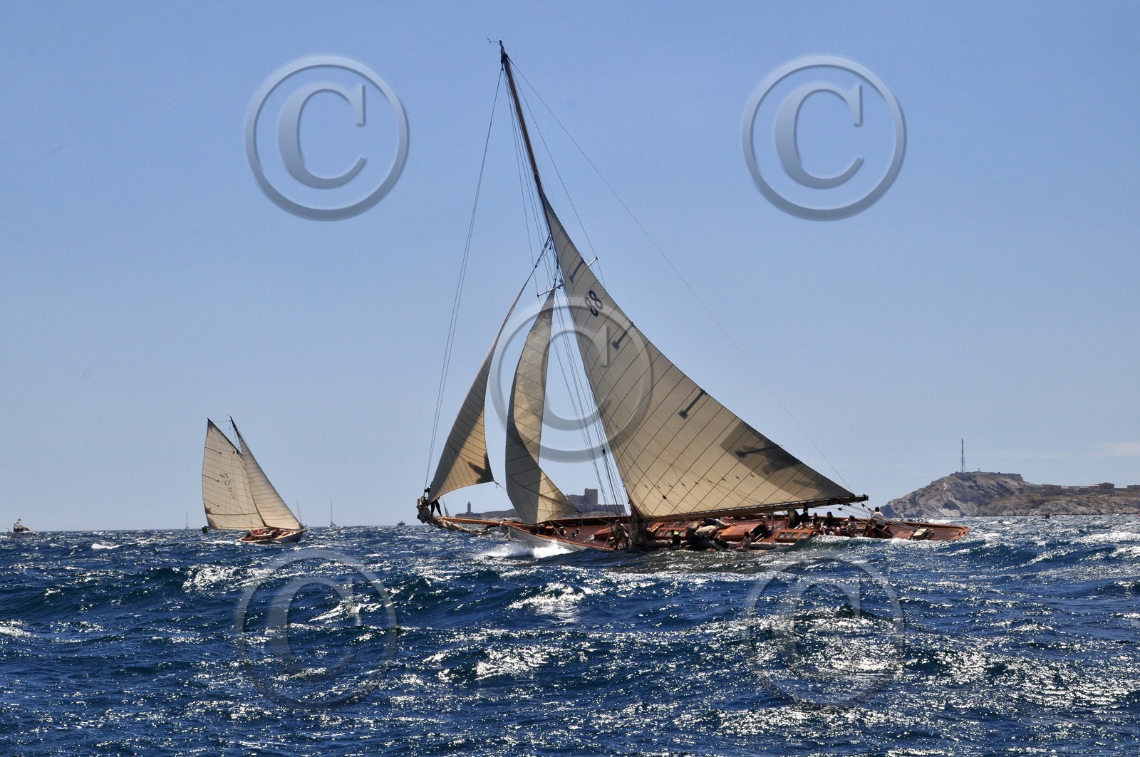 voille-et-if-dsc_0845.jpg