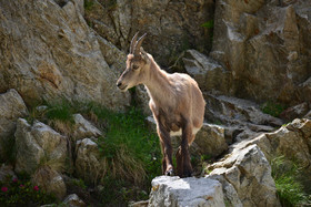 MISE A  JOUR  en cours