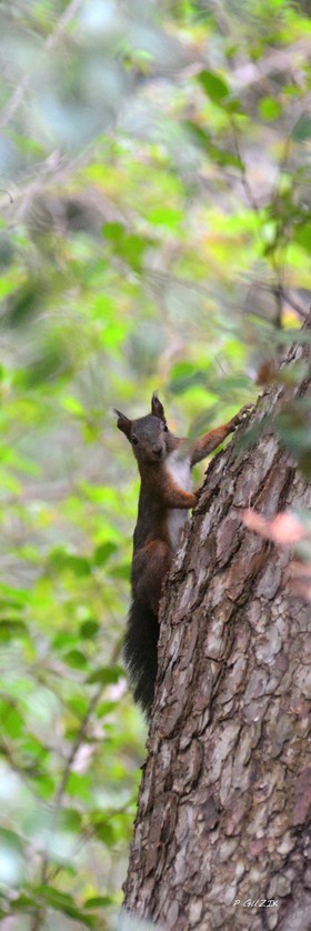 MISE A  JOUR  en cours