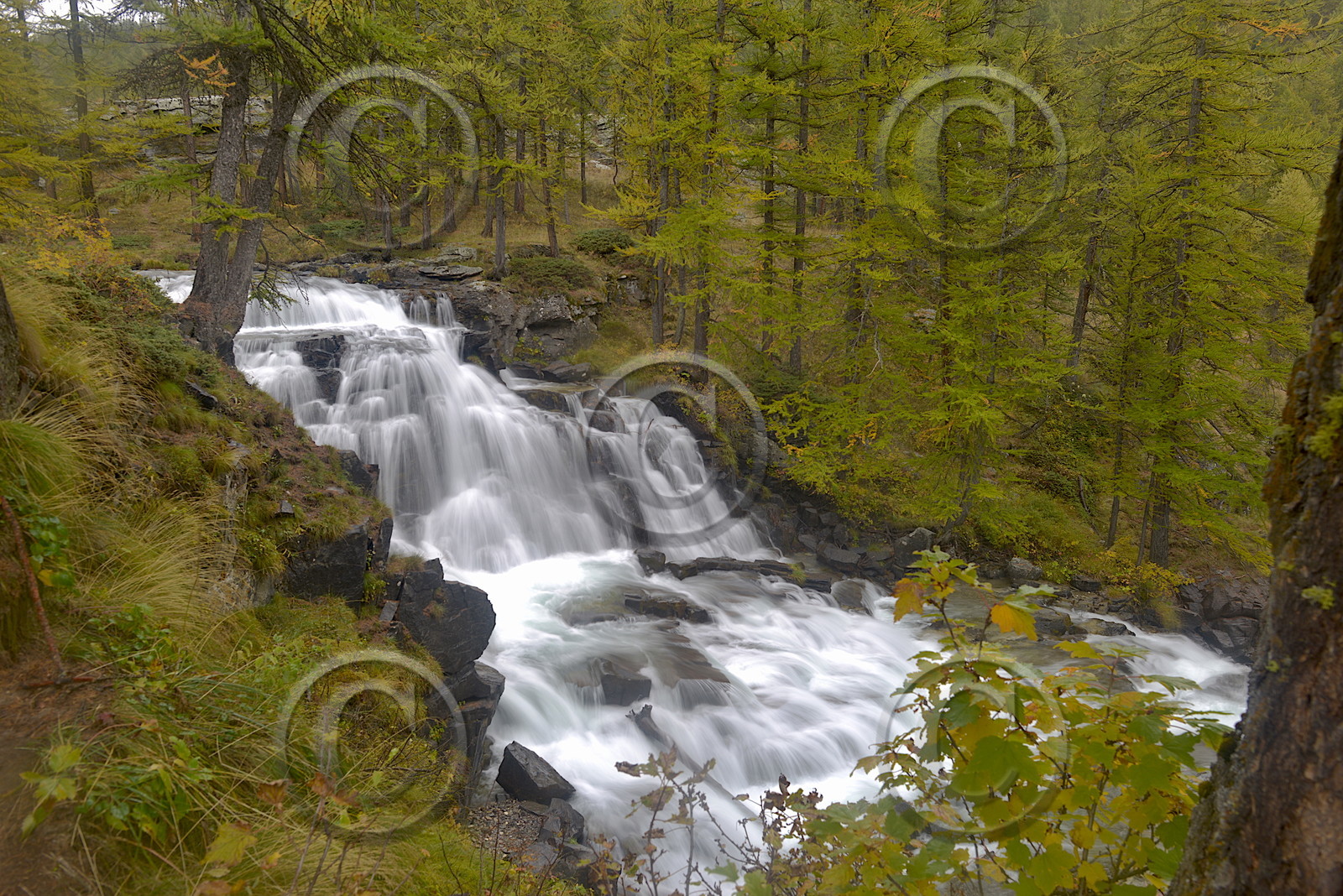 DANS LE QUEYRAS