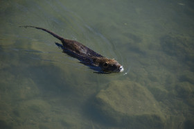 MISE A  JOUR  en cours