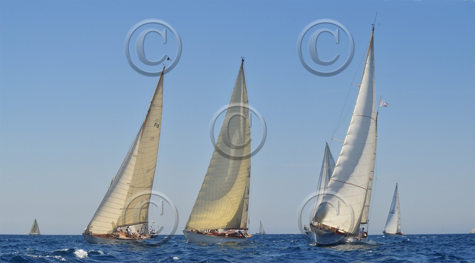 site-voiles-du-vieux-port-copie.jpg