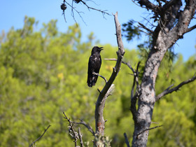 MISE A  JOUR  en cours