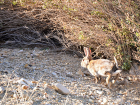 MISE A  JOUR  en cours