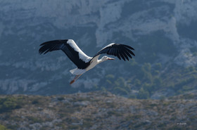 MISE A  JOUR  en cours