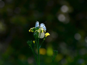 MISE A  JOUR  en cours