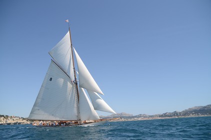 voile-vp-2012-2312.jpg
