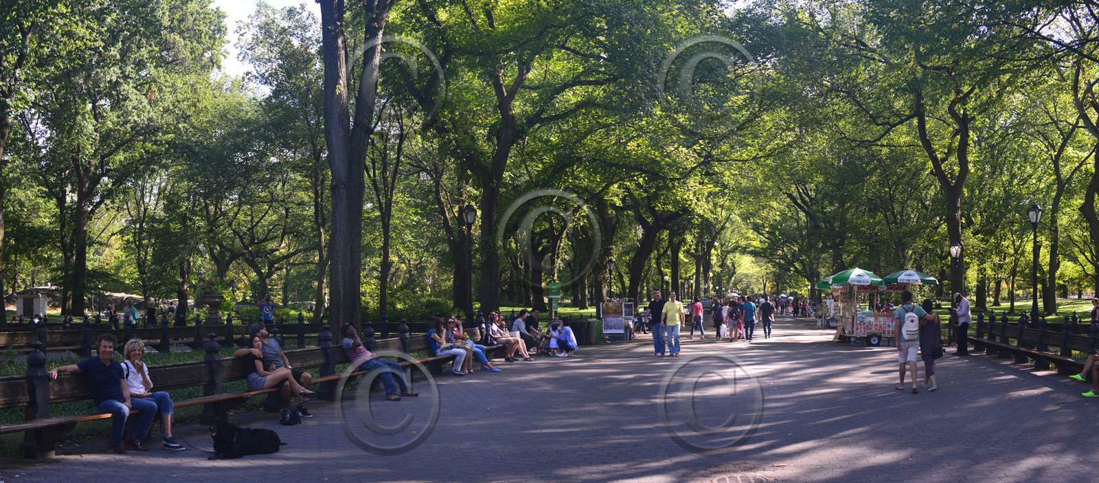 panoramanyc02016-sans-titre1.jpg