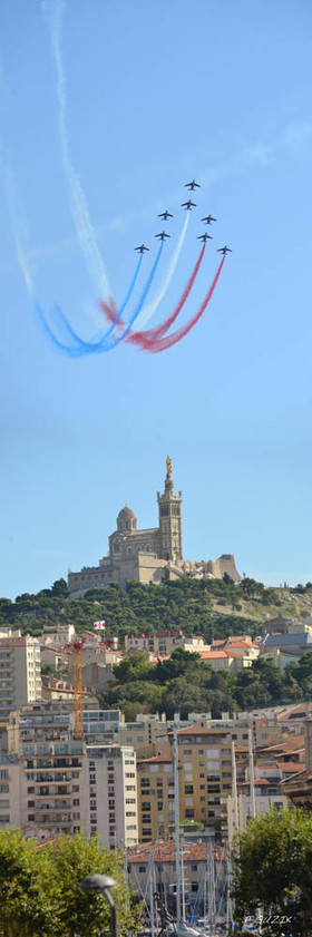 Selection format 20X60 cm