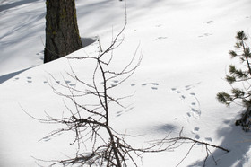 queyras hautes alpes