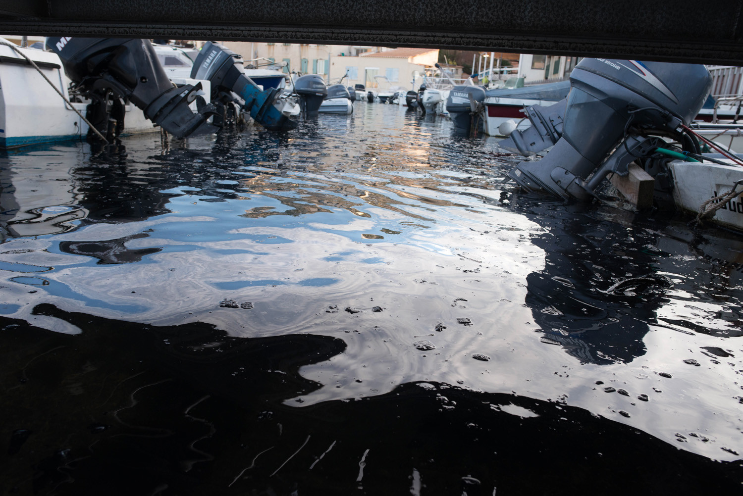 mistral 9 janvier