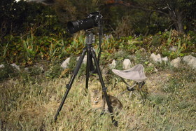 mon assistant qui n'a peur de rien