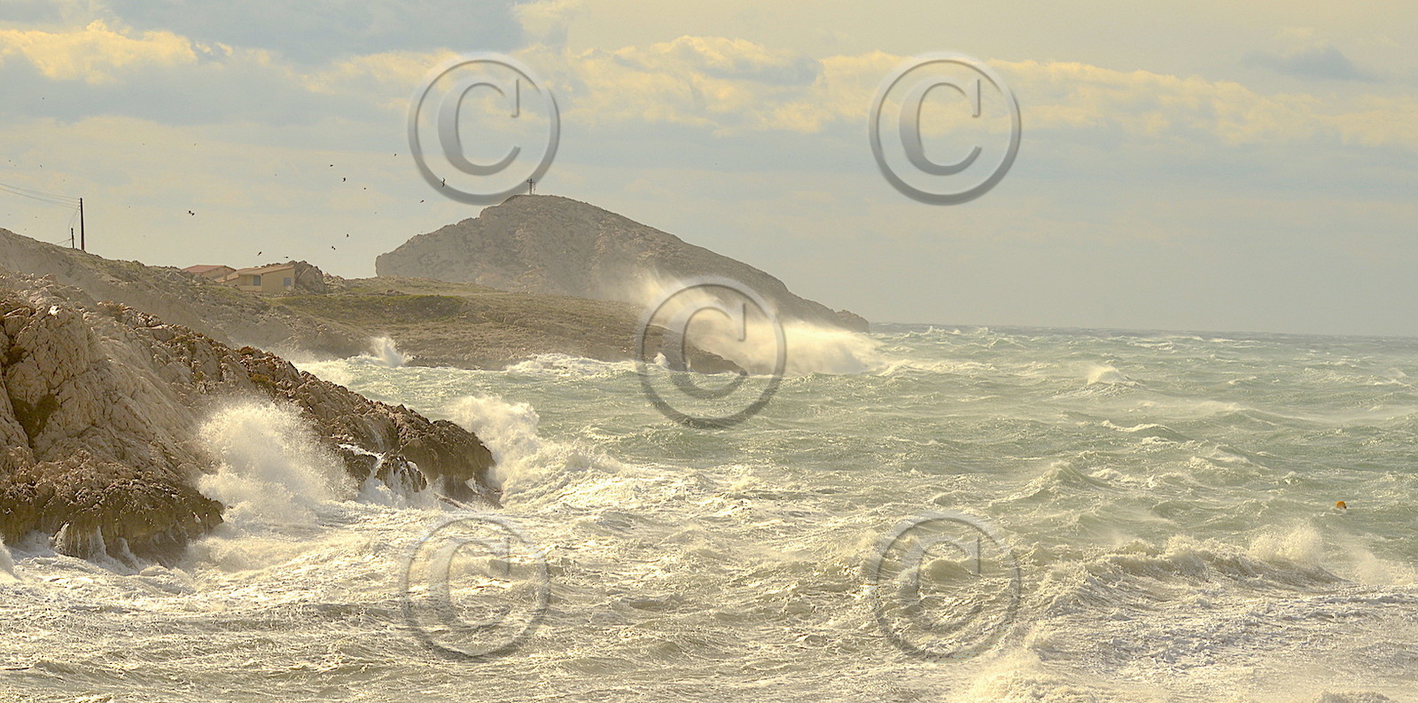 fev_3480-copie-2.jpg