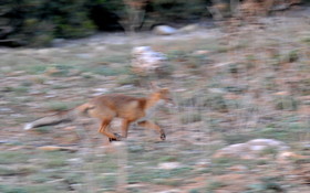 MISE A  JOUR  en cours