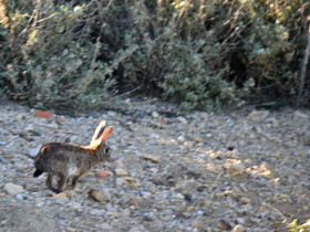 MISE A  JOUR  en cours