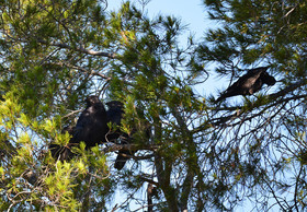 MISE A  JOUR  en cours