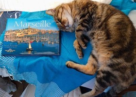 UN GRAND LECTEUR DE RÊVES