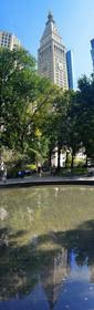 nyc-vert2.jpg